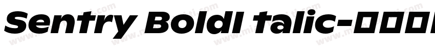 Sentry BoldI talic字体转换
